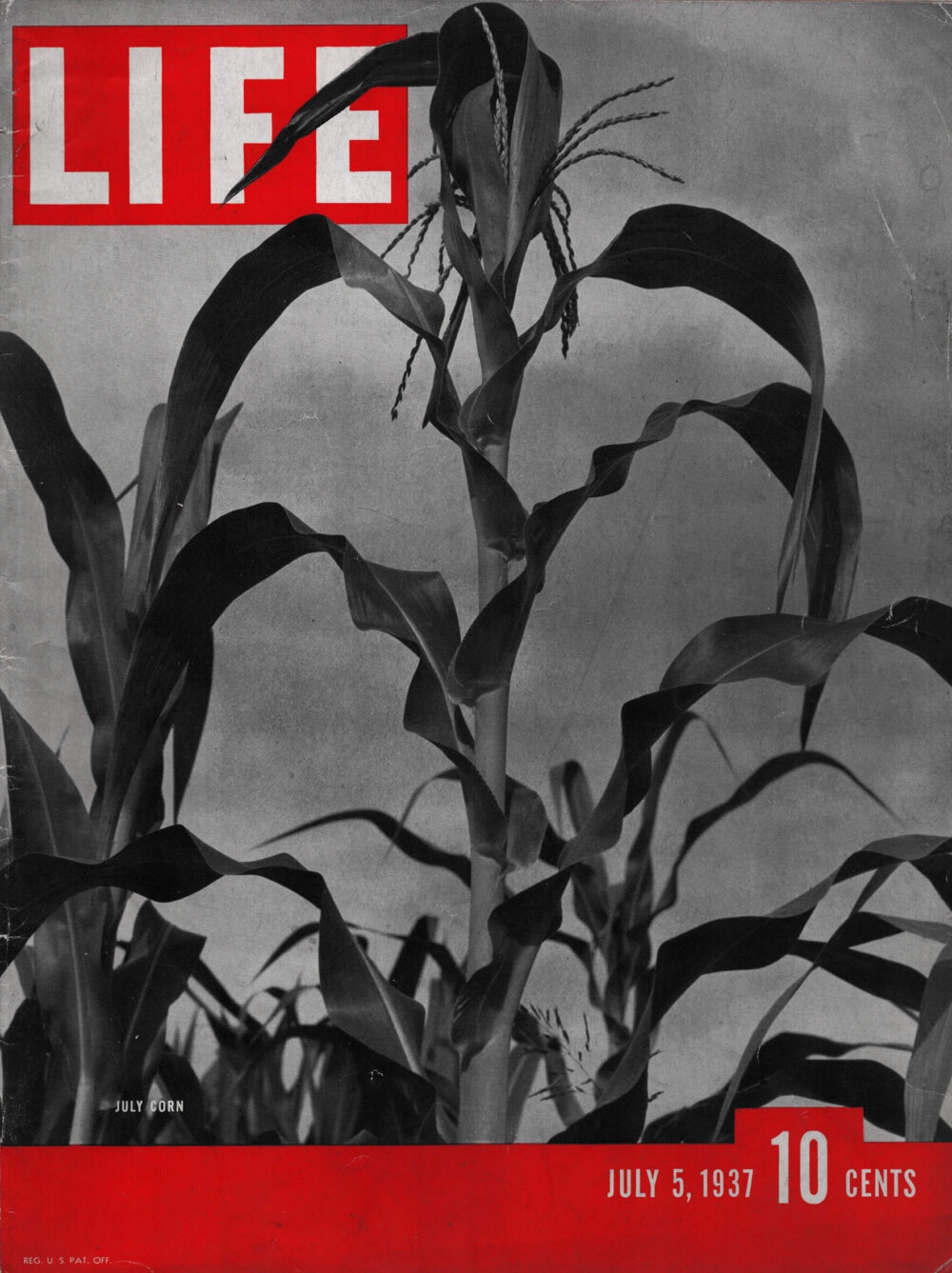 Magazín LIFE (1937)