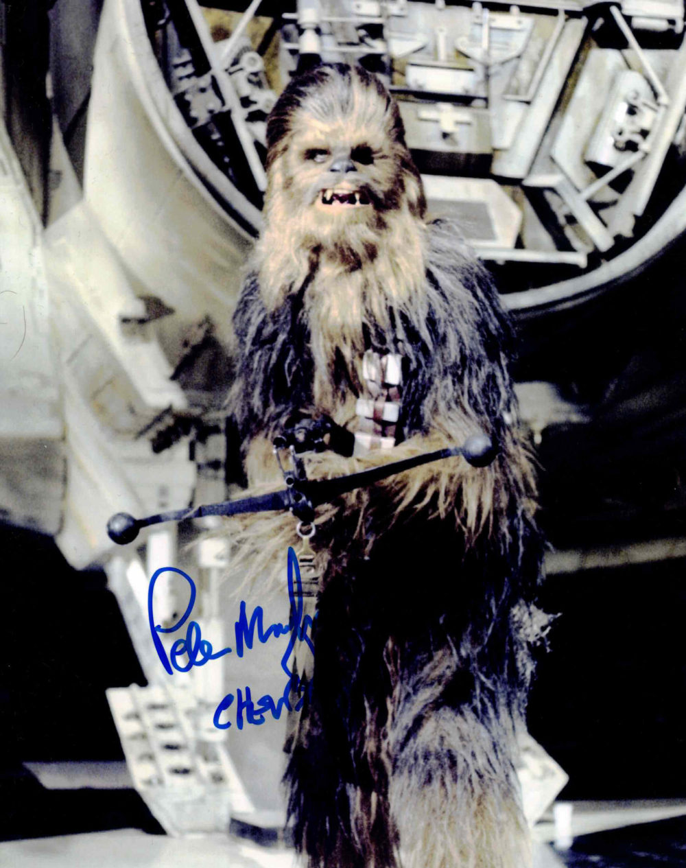 Peter Mayhew / Chewbacca, Star Wars - autogram