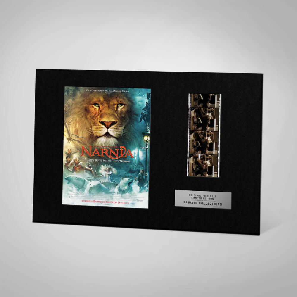 THE CHRONICLES OF NARNIA: THE LION, THE WITCH AND THE WARDROBE (2005)