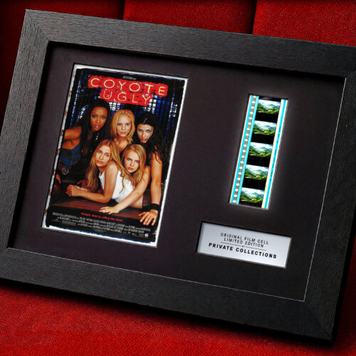 COYOTE UGLY (2000)