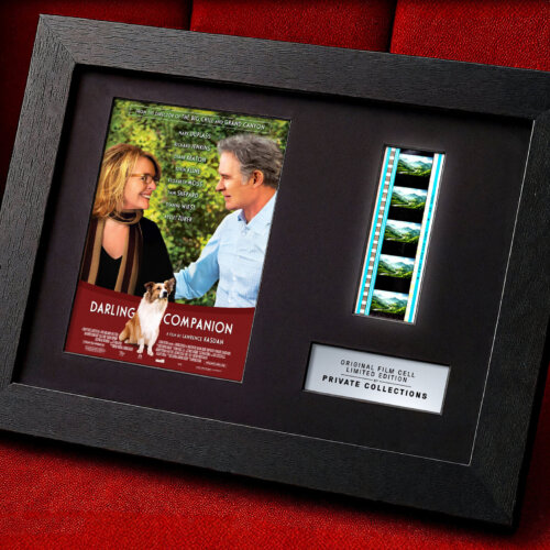 DARLING COMPANION (2012)