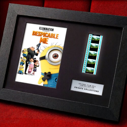 DESPICABLE ME (2010)