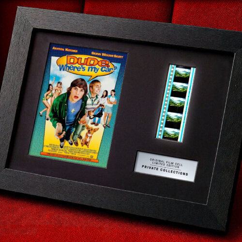 DUDE, WHERE'S MY CAR? (2000)