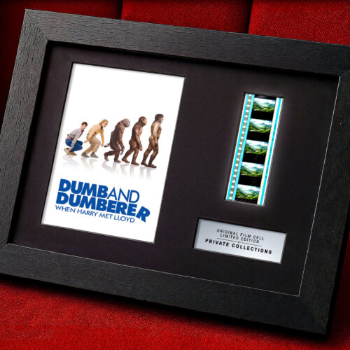 DUMB AND DUMBERER: WHEN HARRY MET LLOYD (2003)