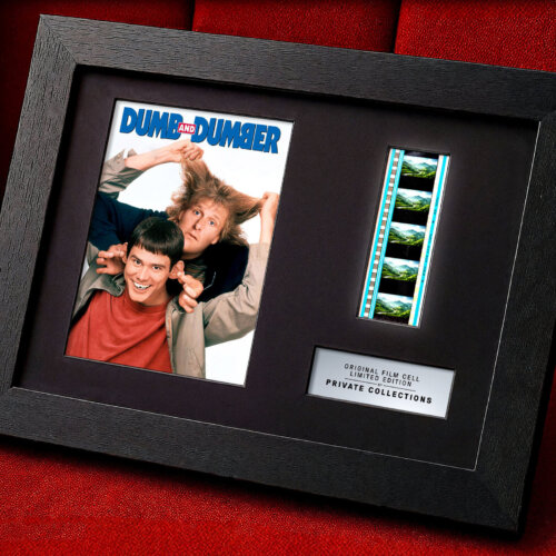 DUMB AND DUMBER (1994)