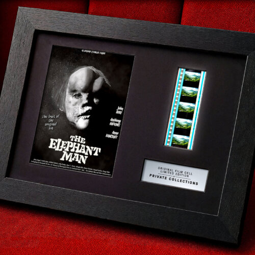 THE ELEPHANT MAN (1980)