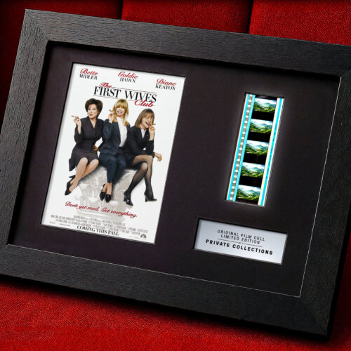 THE FIRST WIVES CLUB (1996)