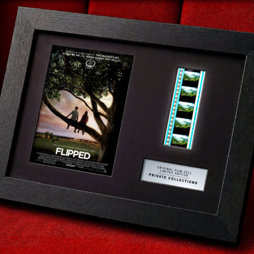 FLIPPED (2010)