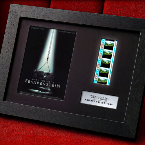 MARY SHELLEY'S FRANKENSTEIN (1994)