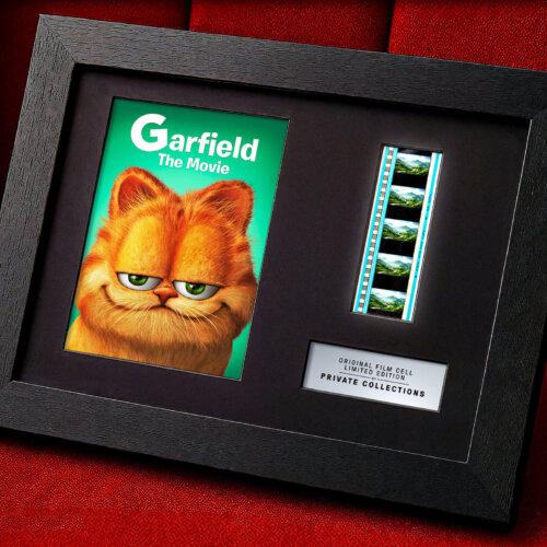 GARFIELD (2004)
