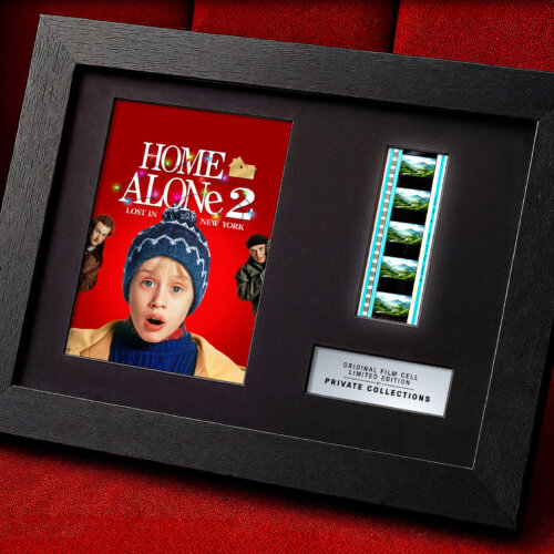 HOME ALONE 2: LOST IN NEW YORK (1992)