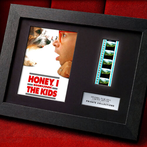 HONEY, I SHRUNK THE KIDS (1989)