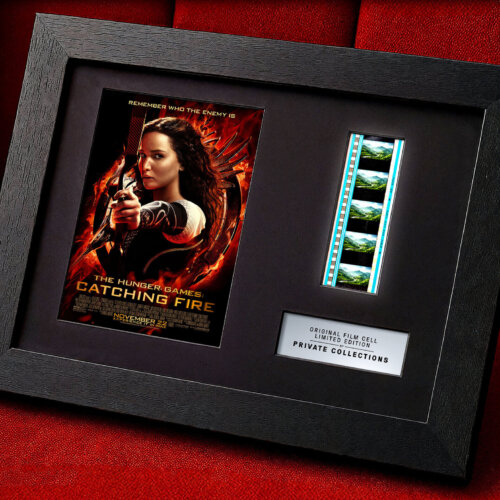 THE HUNGER GAMES: CATCHING FIRE (2013)