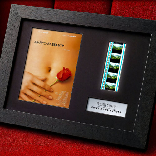 AMERICAN BEAUTY (1999)