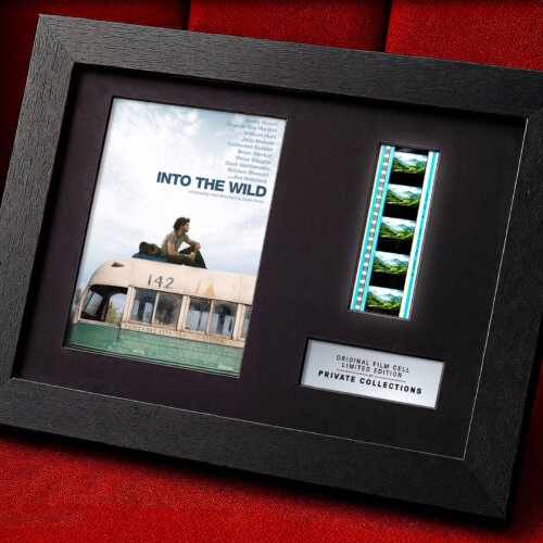 INTO THE WILD (2007)