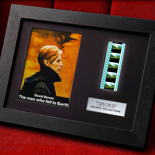 THE MAN WHO FELL TO EARTH (1976)