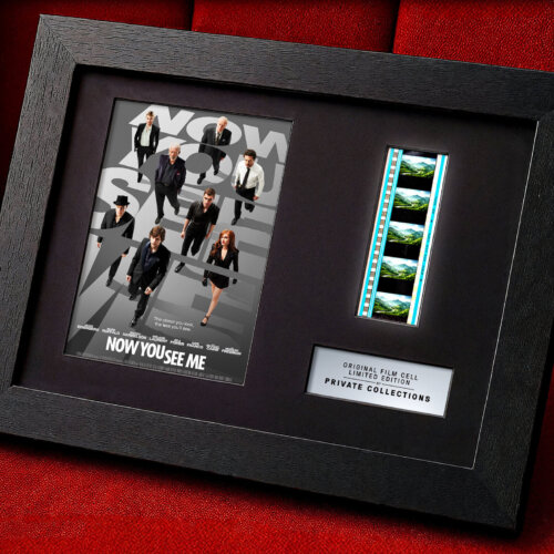 NOW YOU SEE ME (2013)