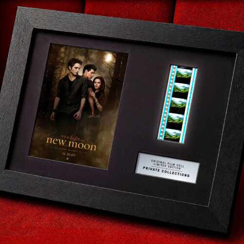 THE TWILIGHT SAGA: NEW MOON (2009)