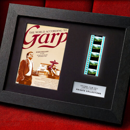 THE WORLD ACCORDING TO GARP (1982)