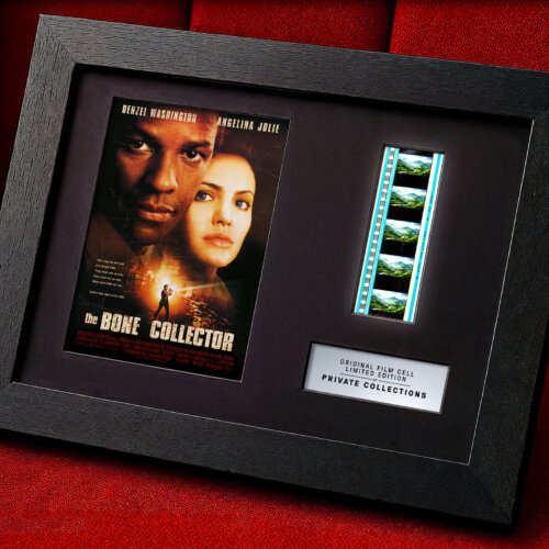 THE BONE COLLECTOR (1999)