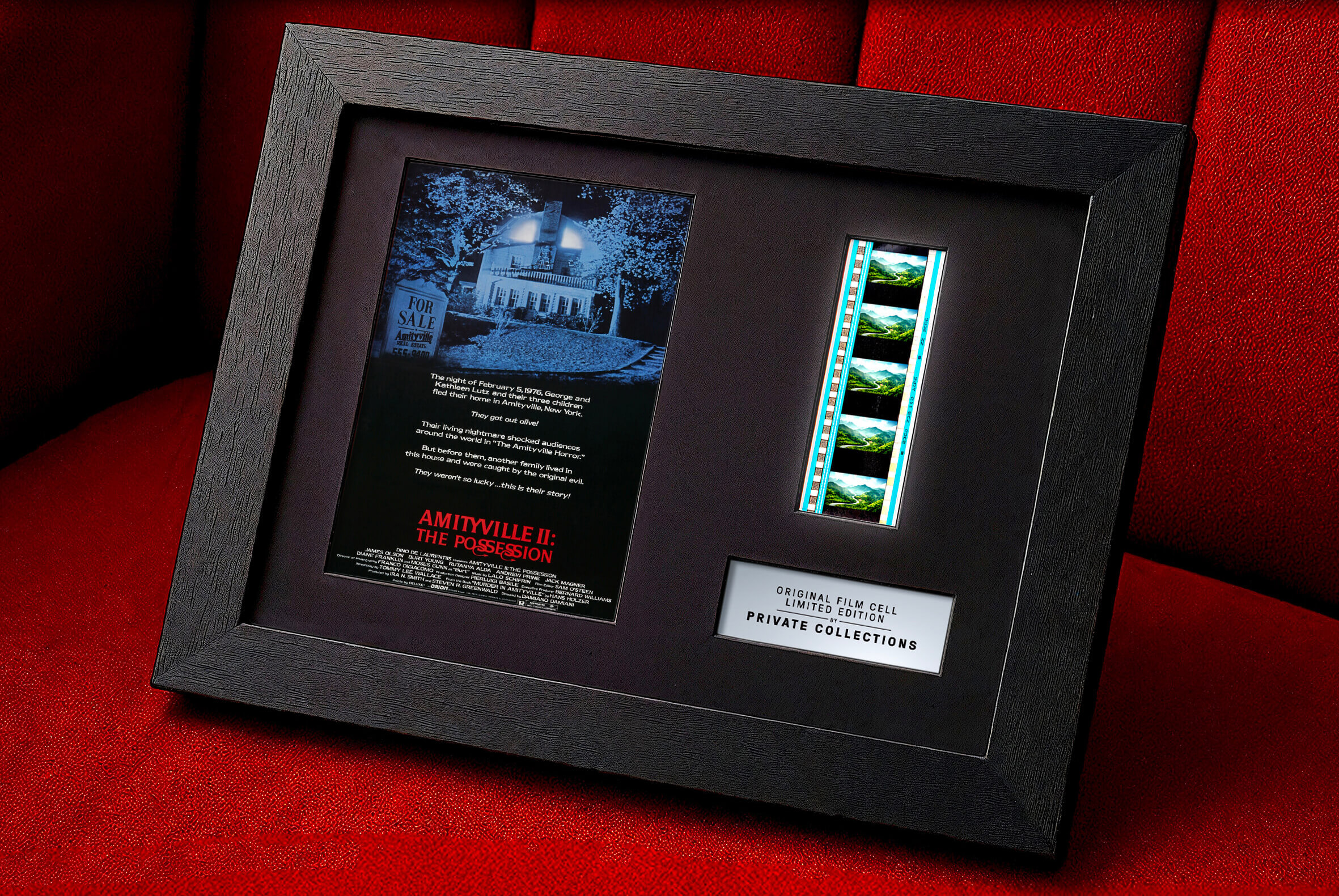 AMITYVILLE II: THE POSSESSION (1982)